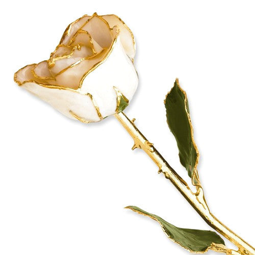 Lacquer Dipped Gold Trim White Satin Real Rose-GP9345-Chris's Jewelry