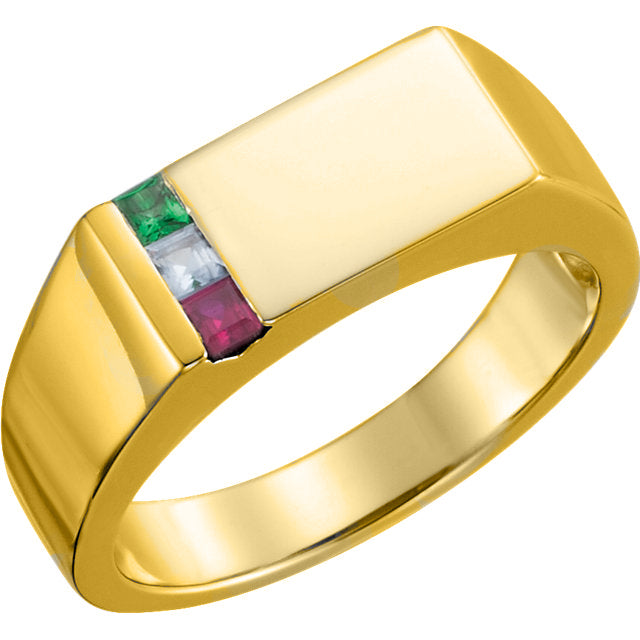 Men's Father's or Grandfather's Family Birthstone Signet Ring-9819-Chris's Jewelry